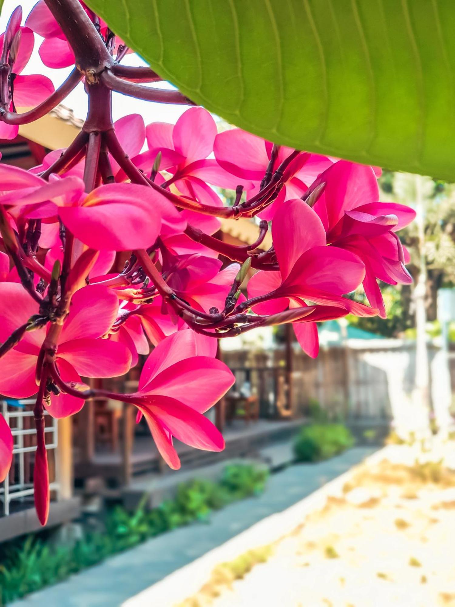 Leaf Coco Bungalow Гілі-Аїр Екстер'єр фото