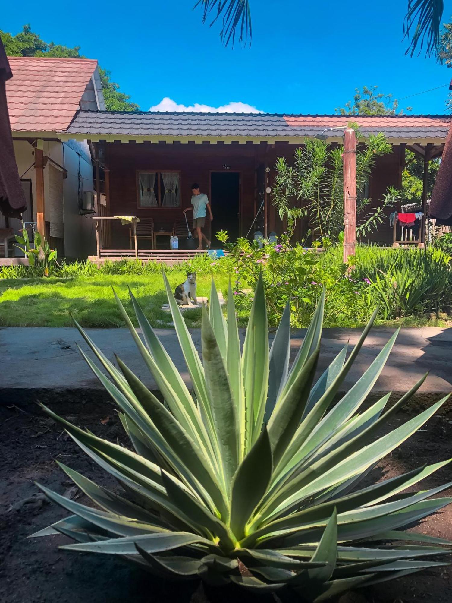 Leaf Coco Bungalow Гілі-Аїр Екстер'єр фото